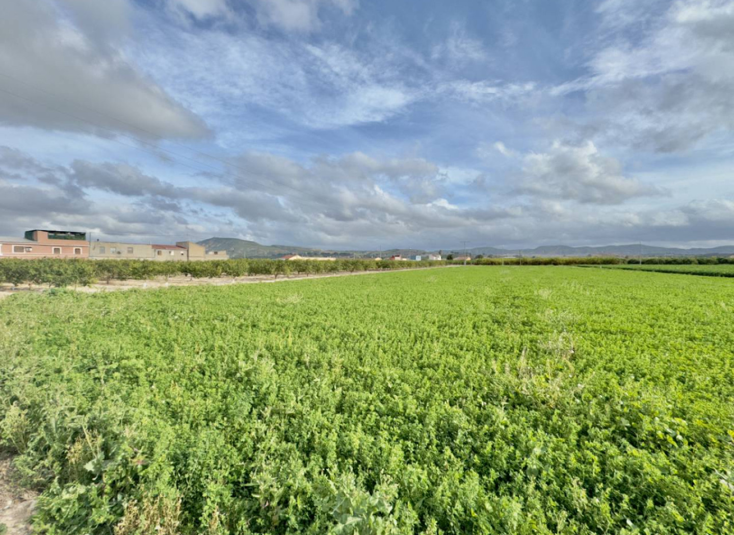 Herverkoop - Villa -
Orihuela