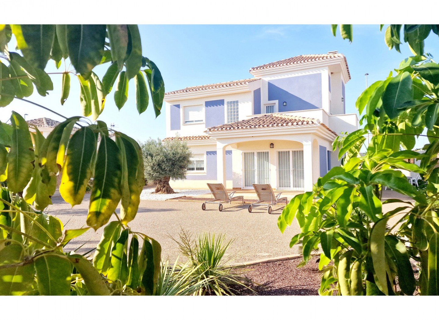 Neubau - Villa -
Lorca