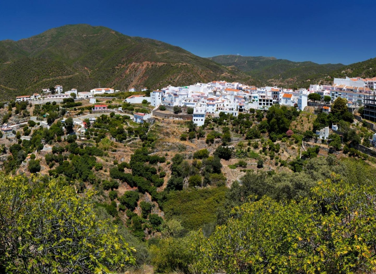 New Build - Apartment -
Istán - Cerros De Los Lagos