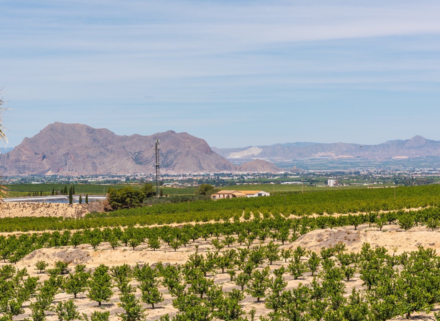 Nouvelle construction - Villa -
Algorfa - La Finca Golf