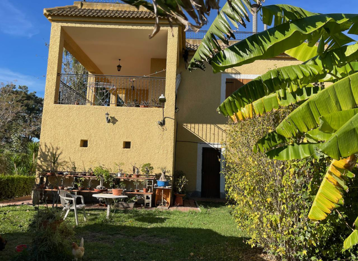 Resale - Villa -
Daya Vieja